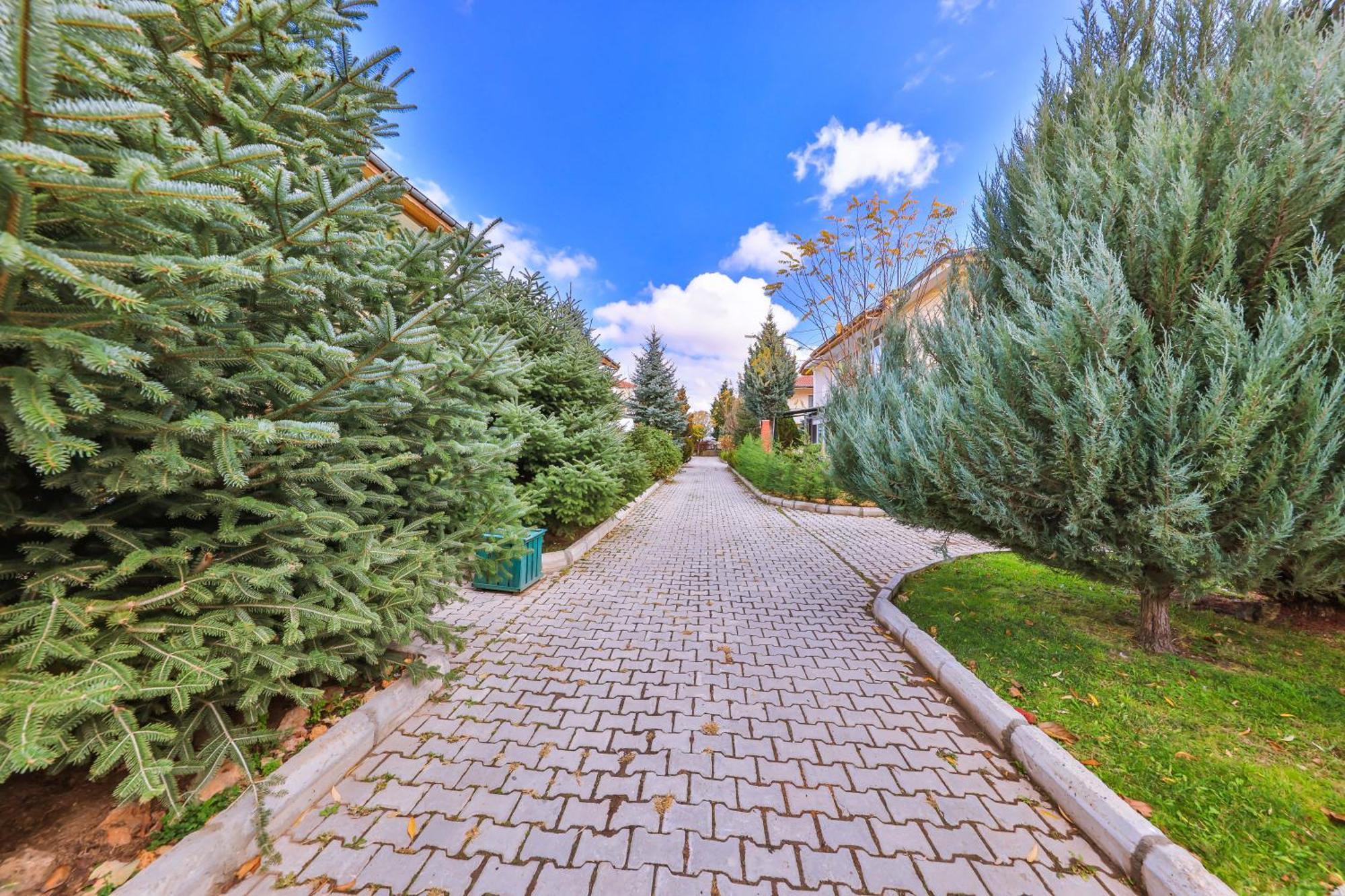Afyon Dundar Thermal Villa 아피욘 외부 사진